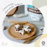 Hanya Freeze Dried Yogurt Bites Chocolate