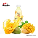 Master Kang Shi Fu Mango Yogurt 500ml